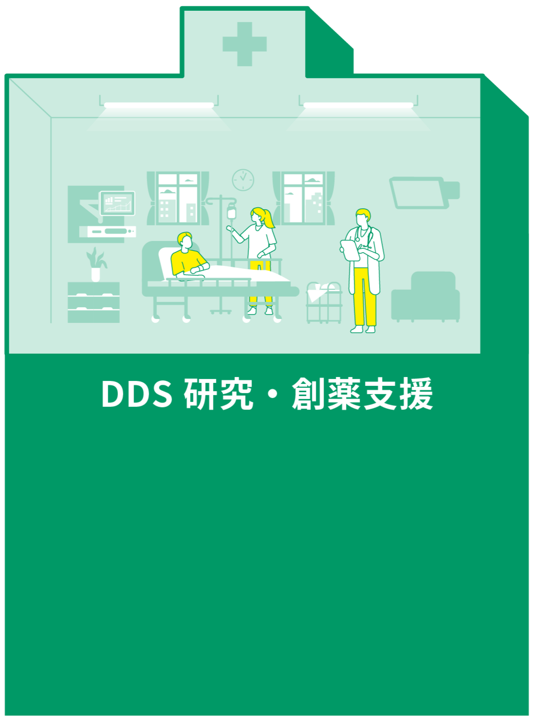 DDS研究・創薬支援