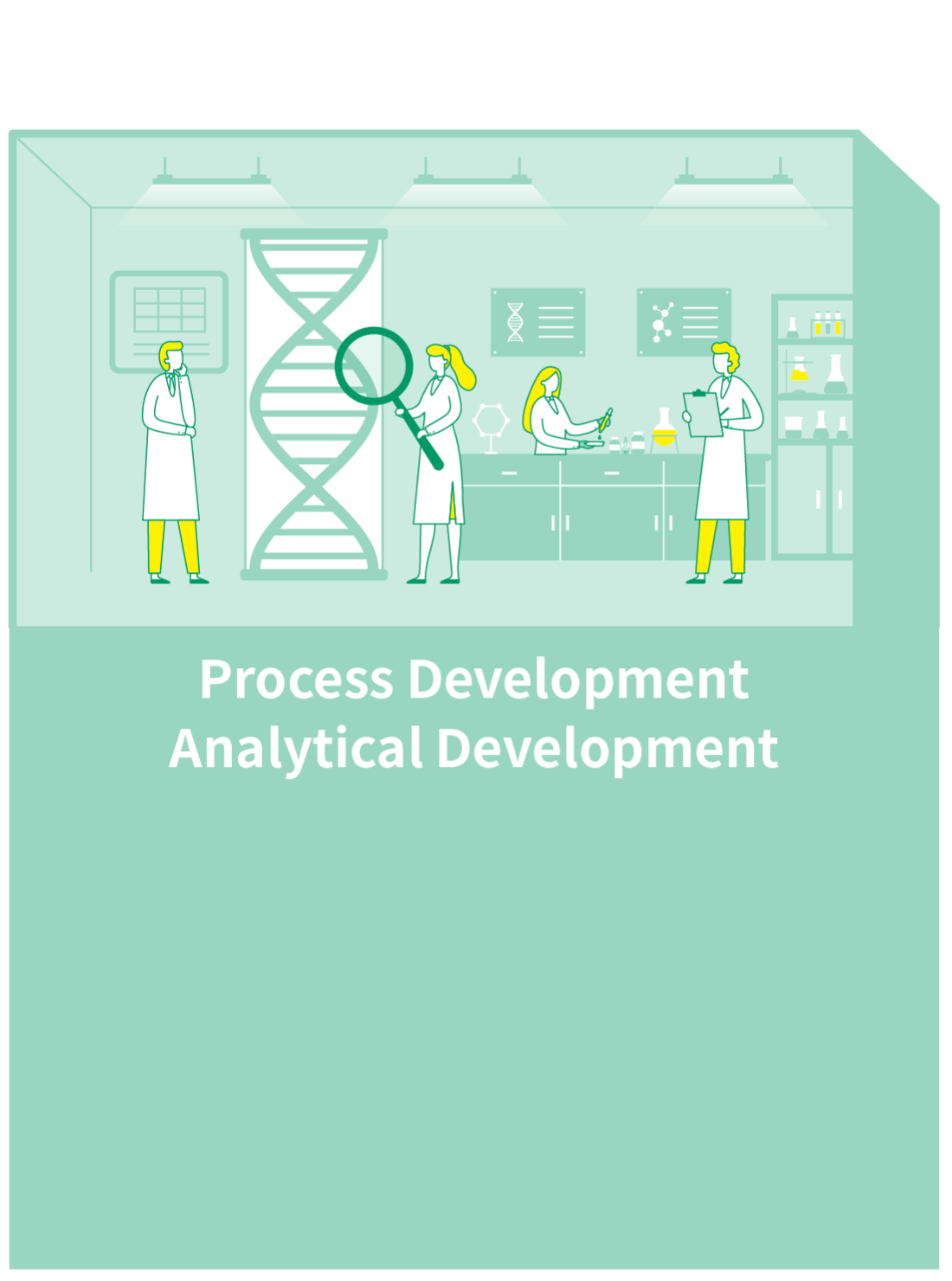 Process Development
Analytical Development